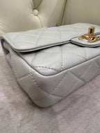 Chanel Axillary mass 21×5×15 AS3214-B10393-NM367