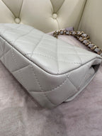 Chanel Axillary mass 21×5×15 AS3214-B10393-NM367