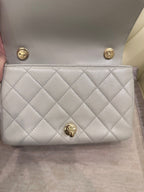 Chanel Axillary mass 21×5×15 AS3214-B10393-NM367