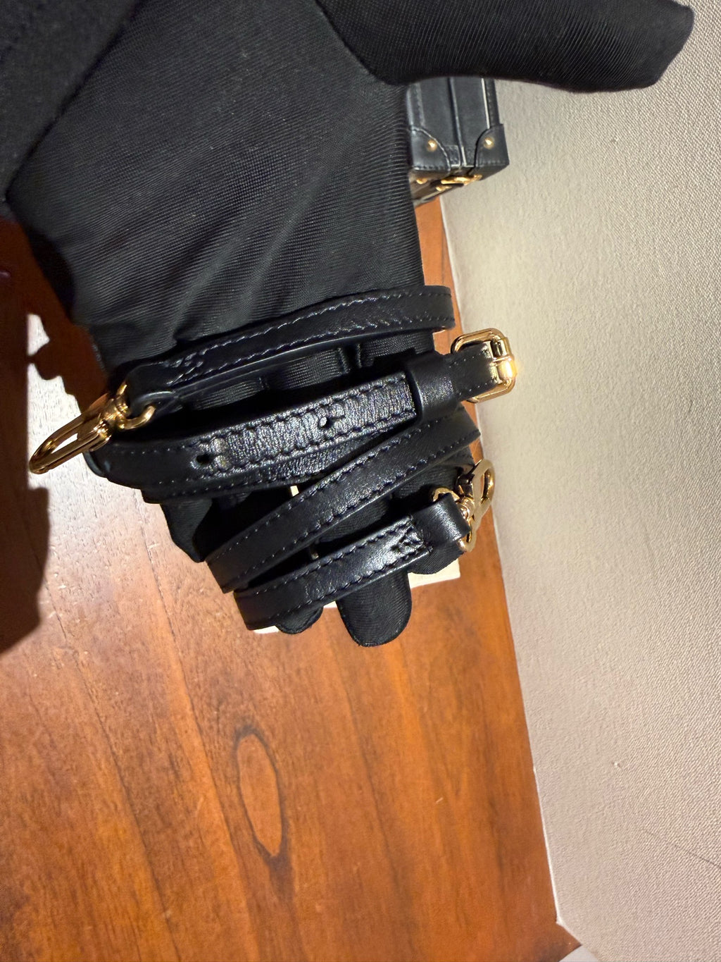 Louis Vuitton Black M54266