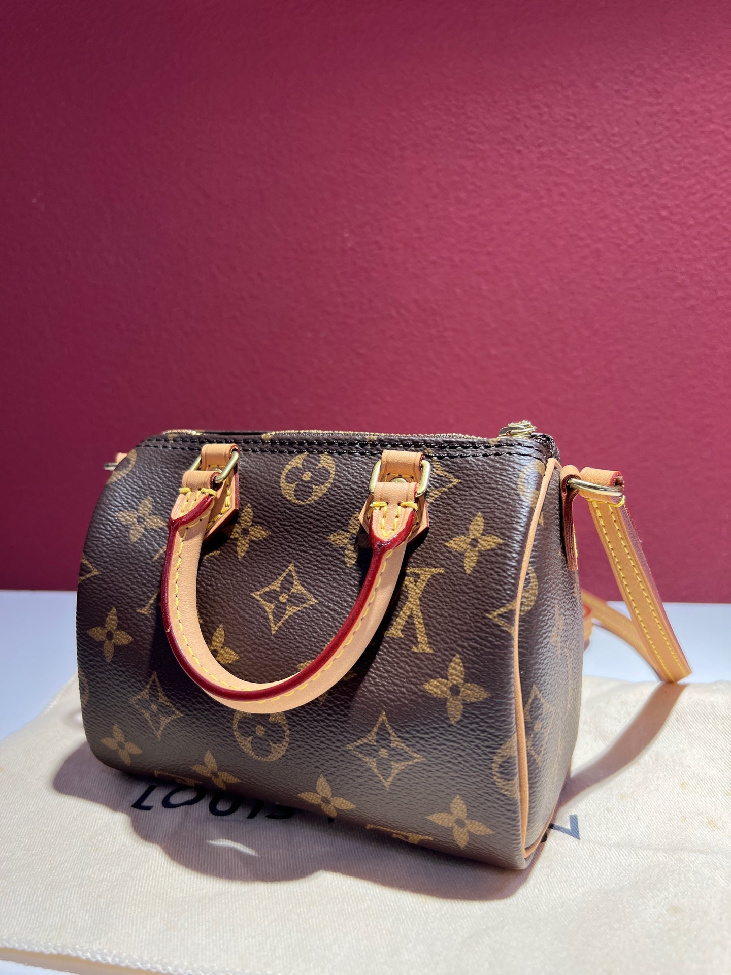 Louis Vuitton Nano Speedy Crossbody