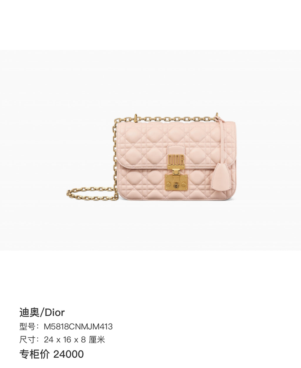 Dior Pink Crossbody 24 x 16 x 8 centimeters M5818CNMJM413
