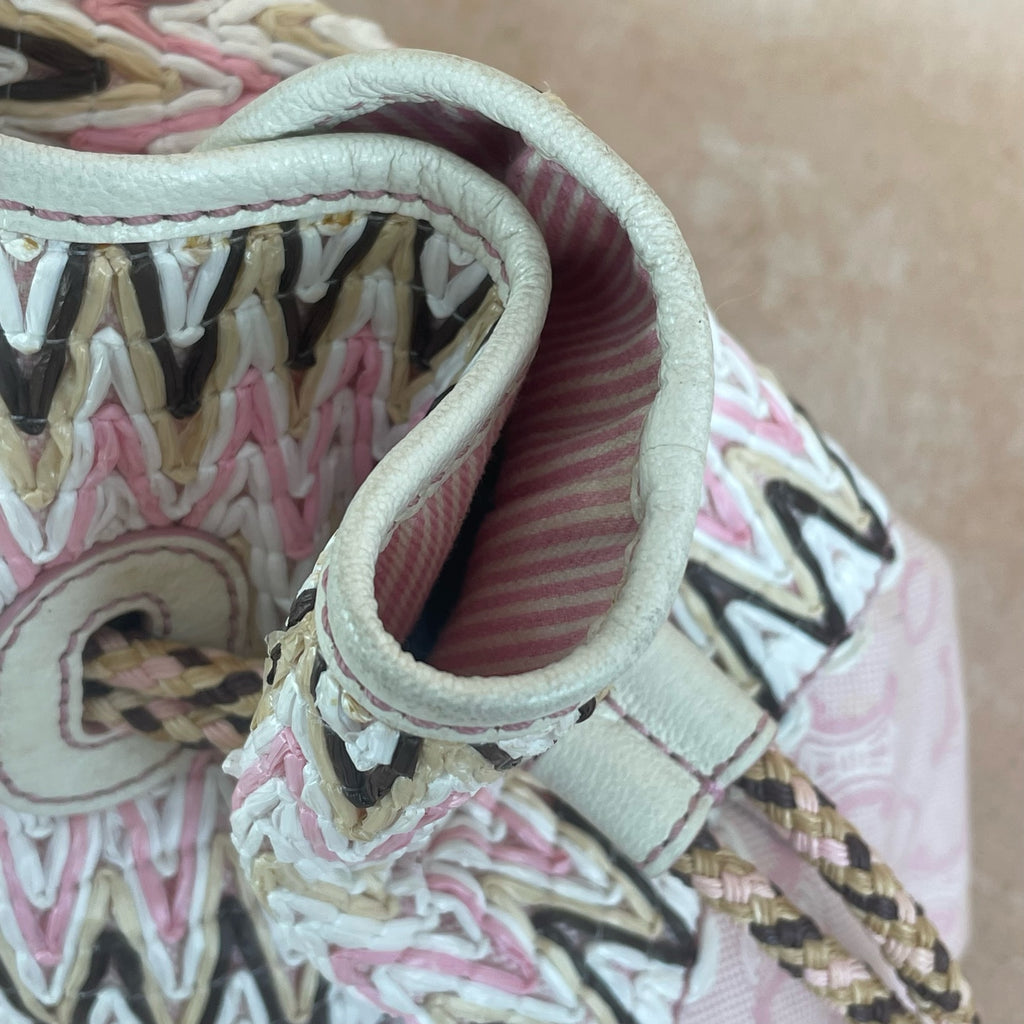 Celine Canvas Pink Bucket & Drawstring Bag