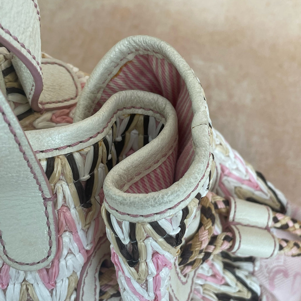 Celine Canvas Pink Bucket & Drawstring Bag