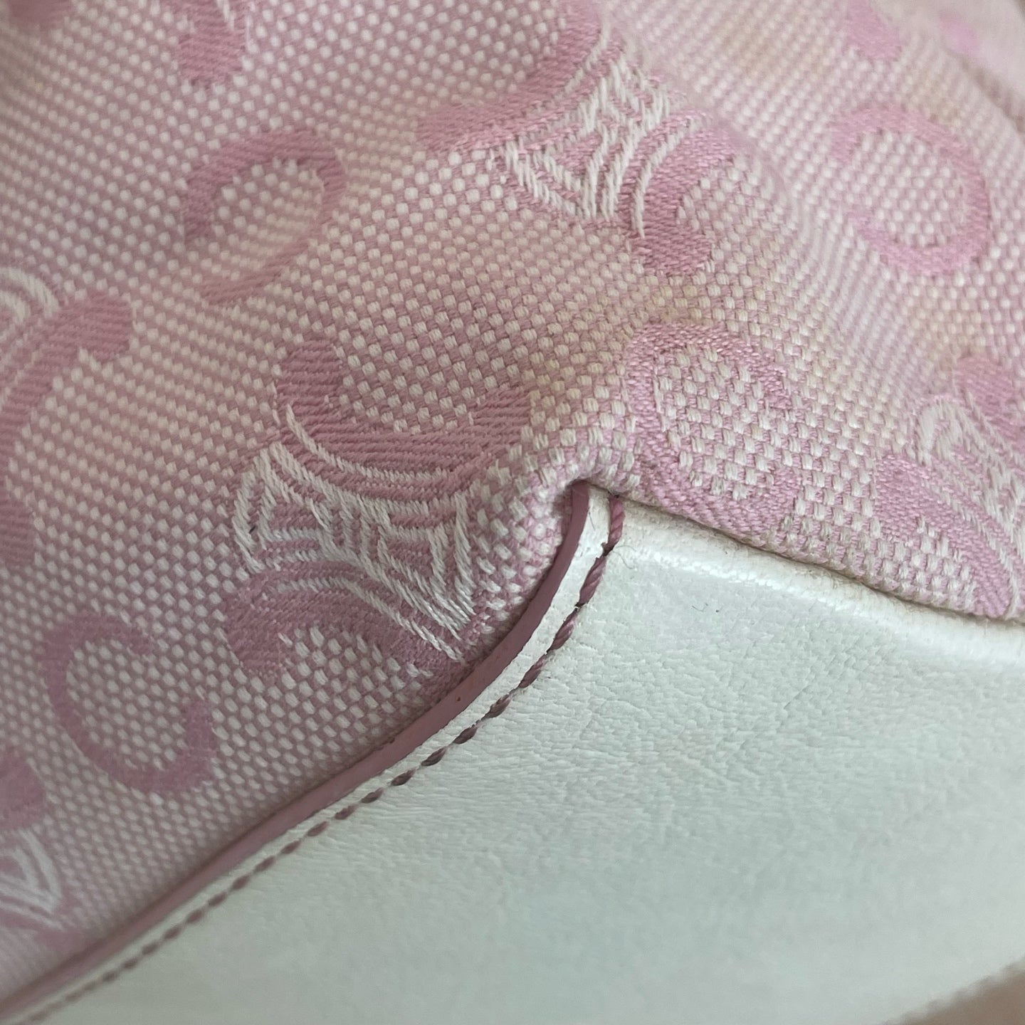 Celine Canvas Pink Bucket & Drawstring Bag