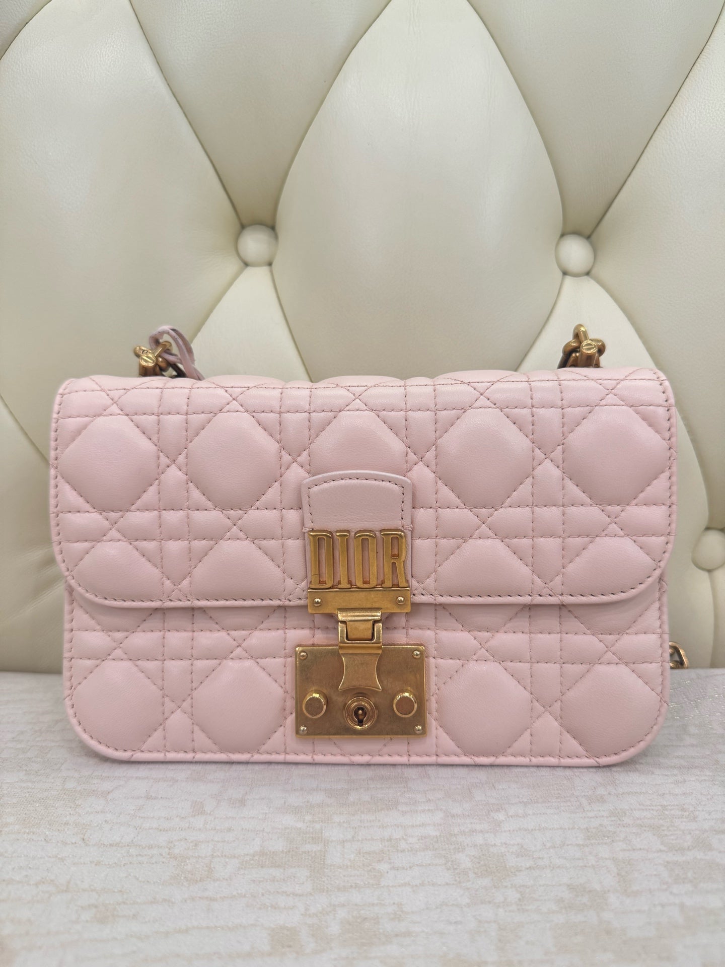Dior Pink Crossbody 24 x 16 x 8 centimeters M5818CNMJM413