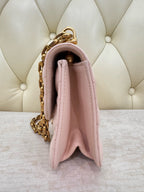 Dior Pink Crossbody 24 x 16 x 8 centimeters M5818CNMJM413