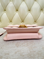 Dior Pink Crossbody 24 x 16 x 8 centimeters M5818CNMJM413