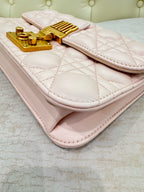 Dior Pink Crossbody 24 x 16 x 8 centimeters M5818CNMJM413