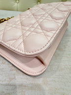 Dior Pink Crossbody 24 x 16 x 8 centimeters M5818CNMJM413