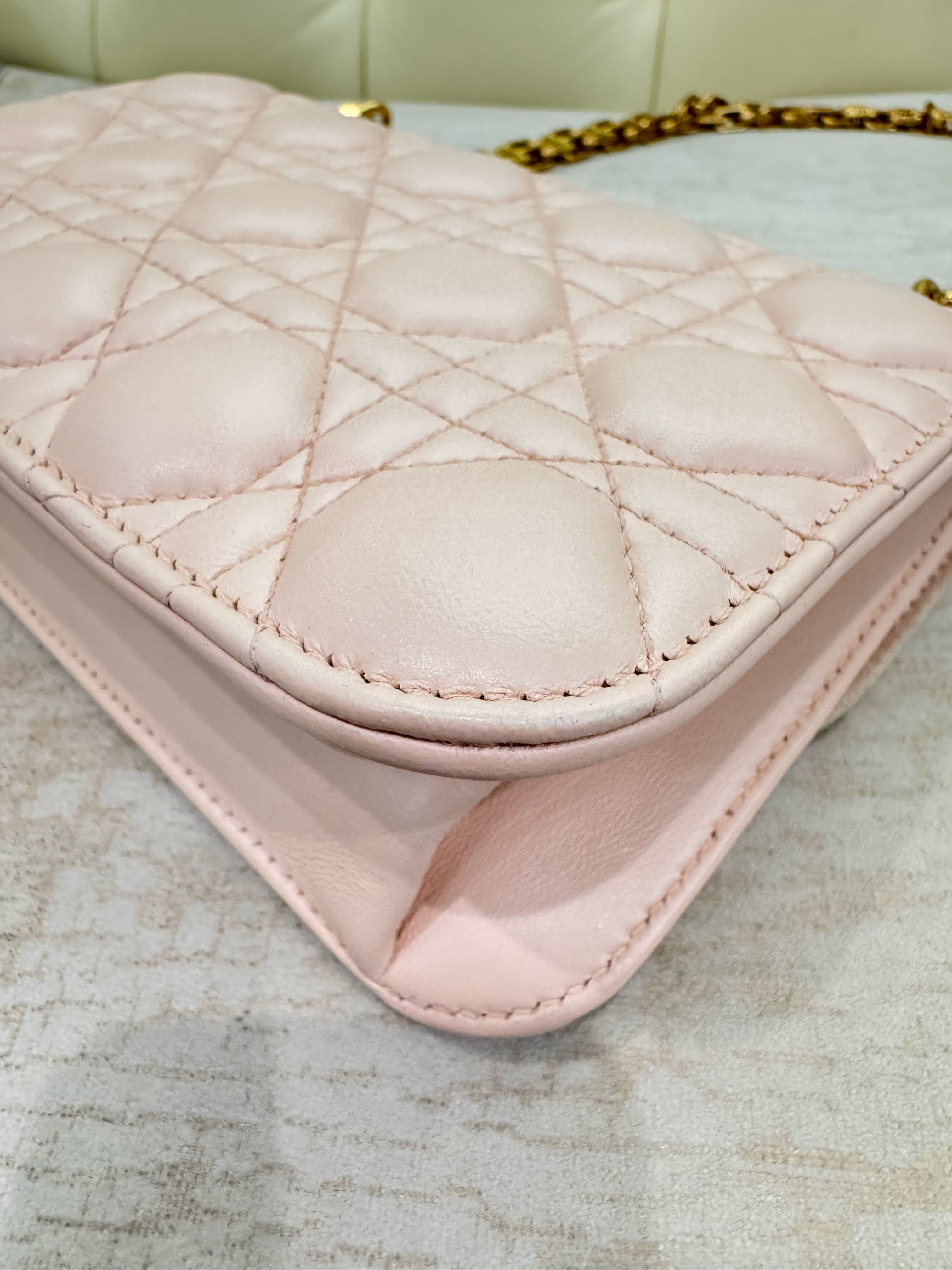 Dior Pink Crossbody 24 x 16 x 8 centimeters M5818CNMJM413