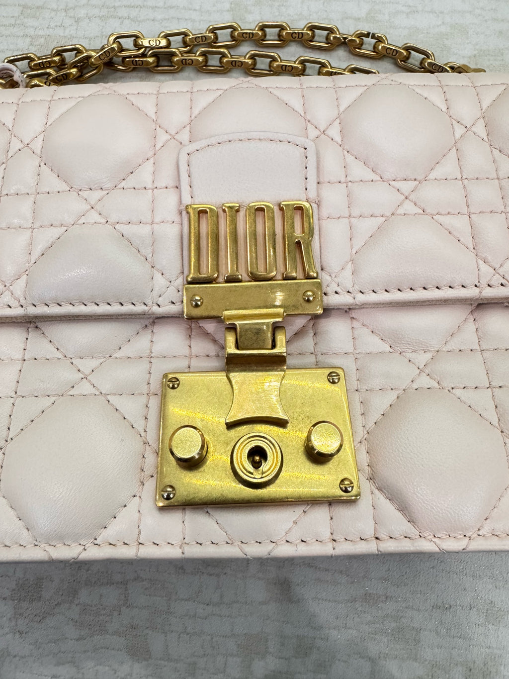 Dior Pink Crossbody 24 x 16 x 8 centimeters M5818CNMJM413
