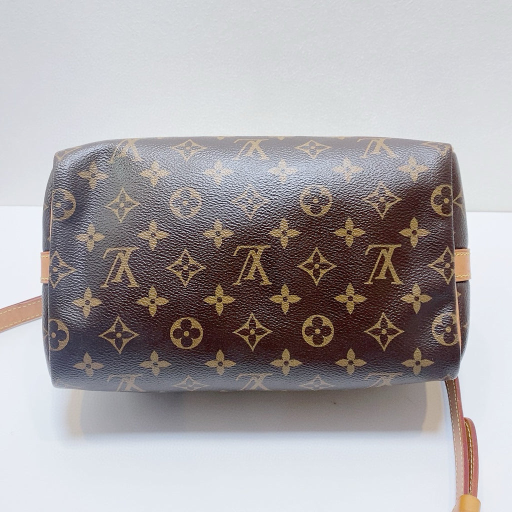 Louis Vuitton Crossbody