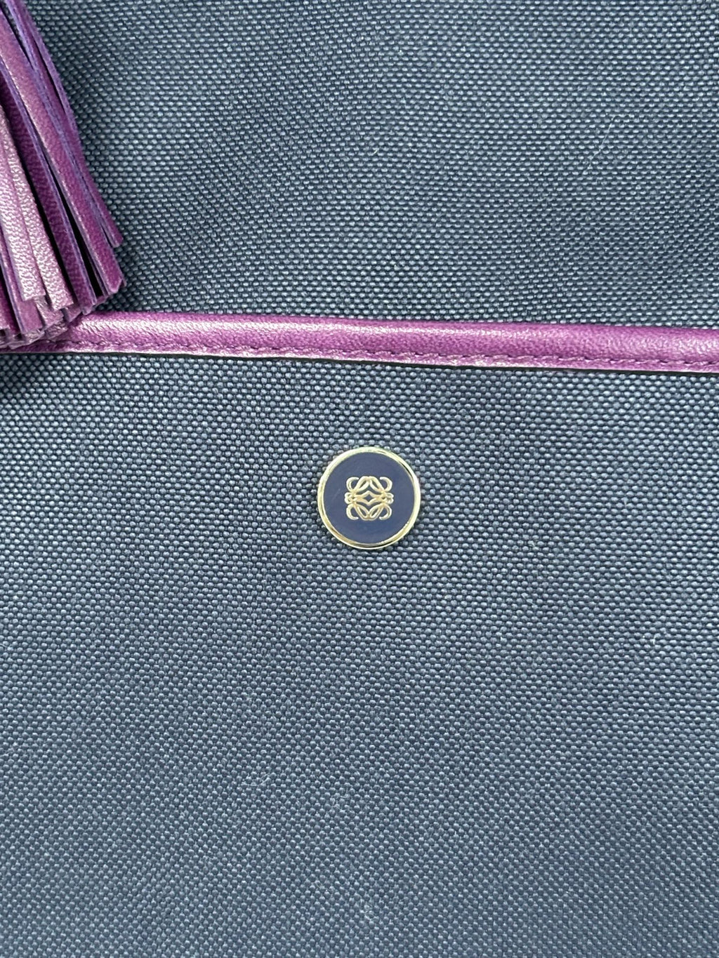 Loewe Canvas Purple Satchel