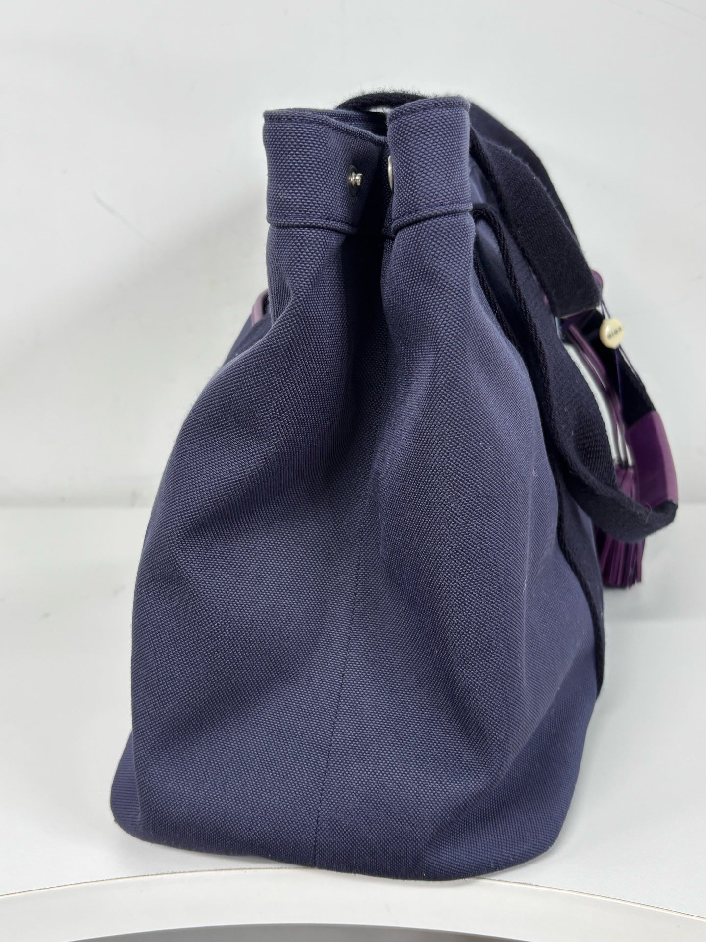 Loewe Canvas Purple Satchel