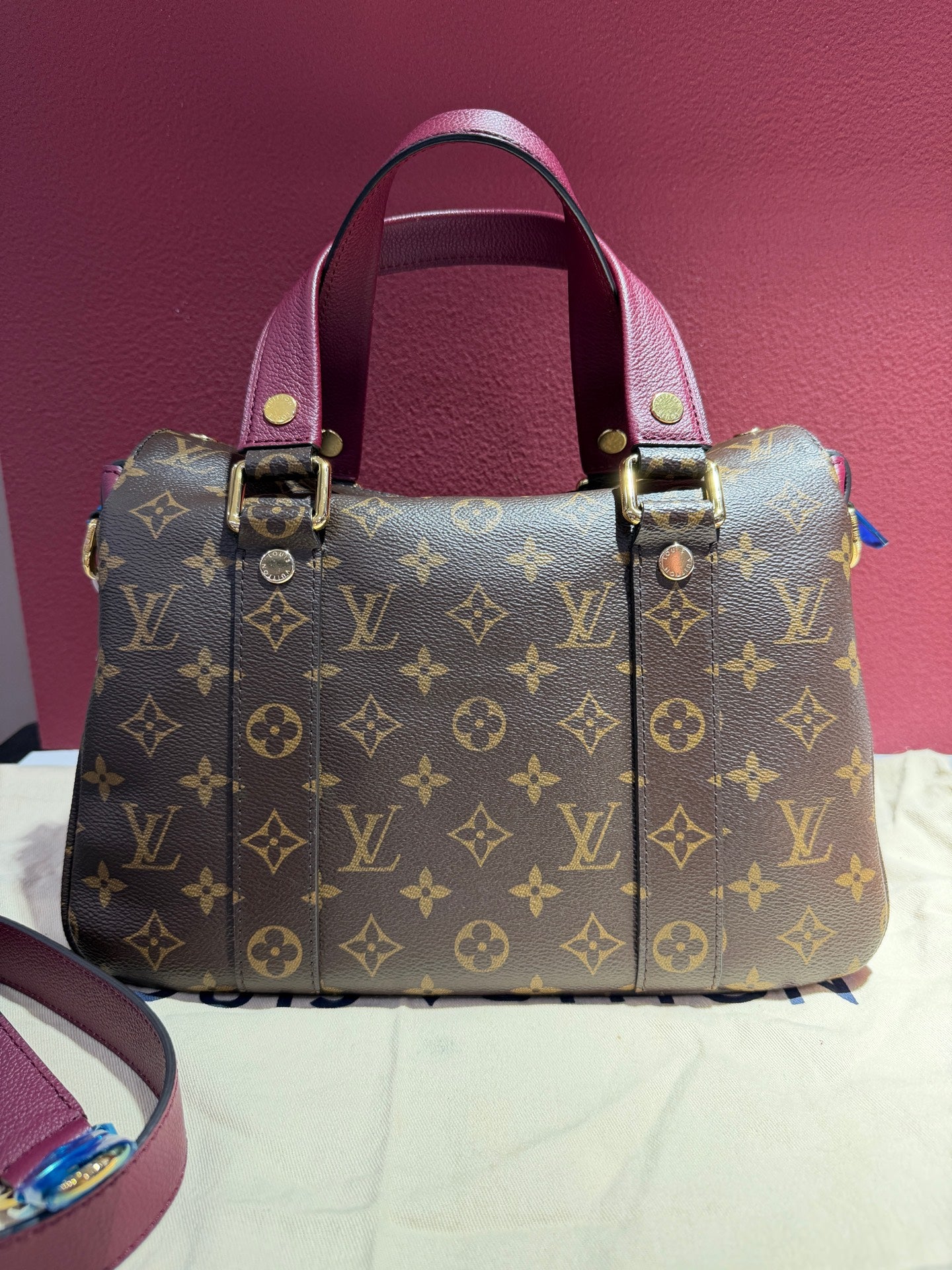Louis Vuitton Red M43482