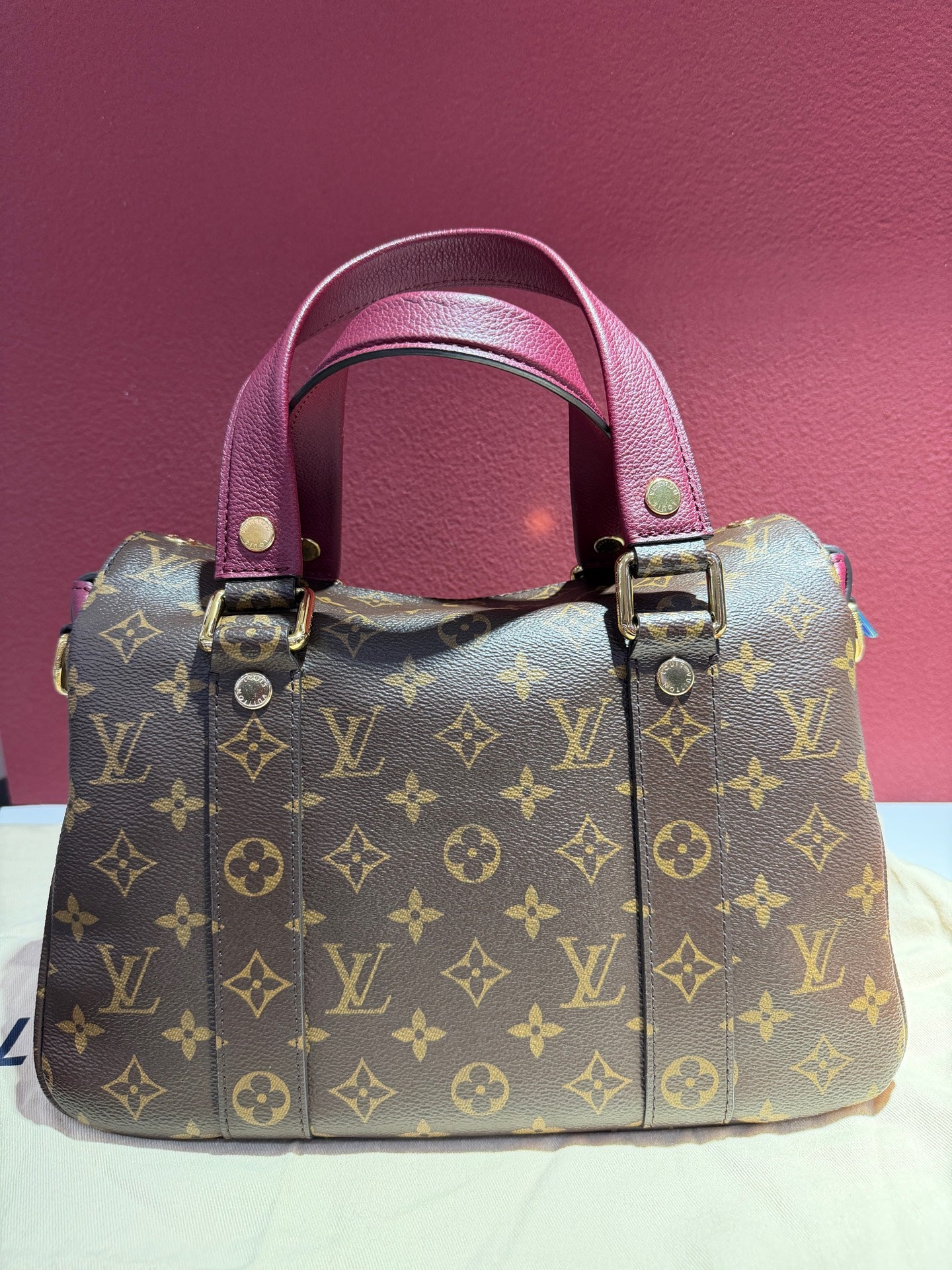 Louis Vuitton Red M43482