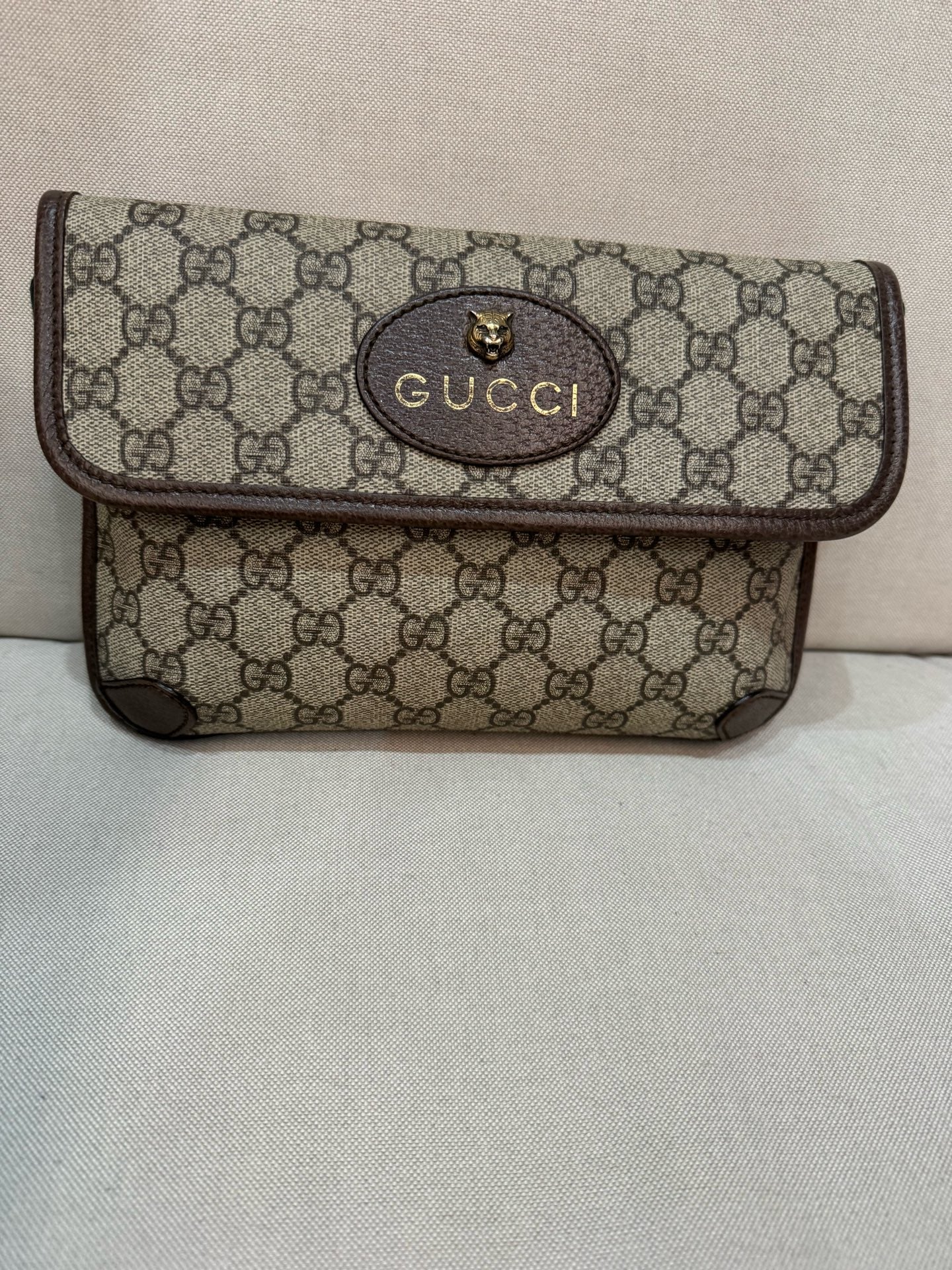 Gucci Belt Bag & Fanny Pack 24*17*4 4939309C2VT8745