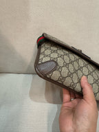 Gucci Belt Bag & Fanny Pack 24*17*4 4939309C2VT8745