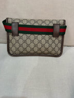 Gucci Belt Bag & Fanny Pack 24*17*4 4939309C2VT8745