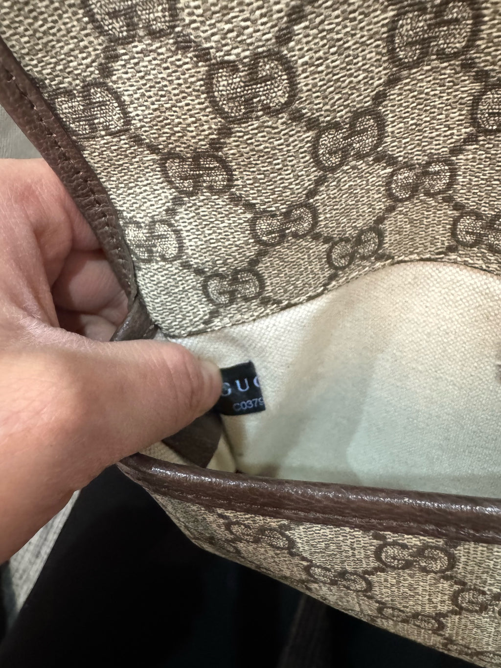 Gucci Belt Bag & Fanny Pack 24*17*4 4939309C2VT8745