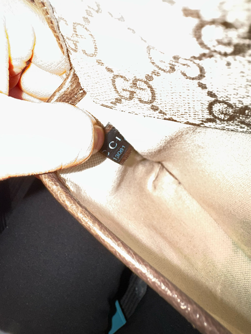 Gucci Belt Bag & Fanny Pack 24*17*4 4939309C2VT8745