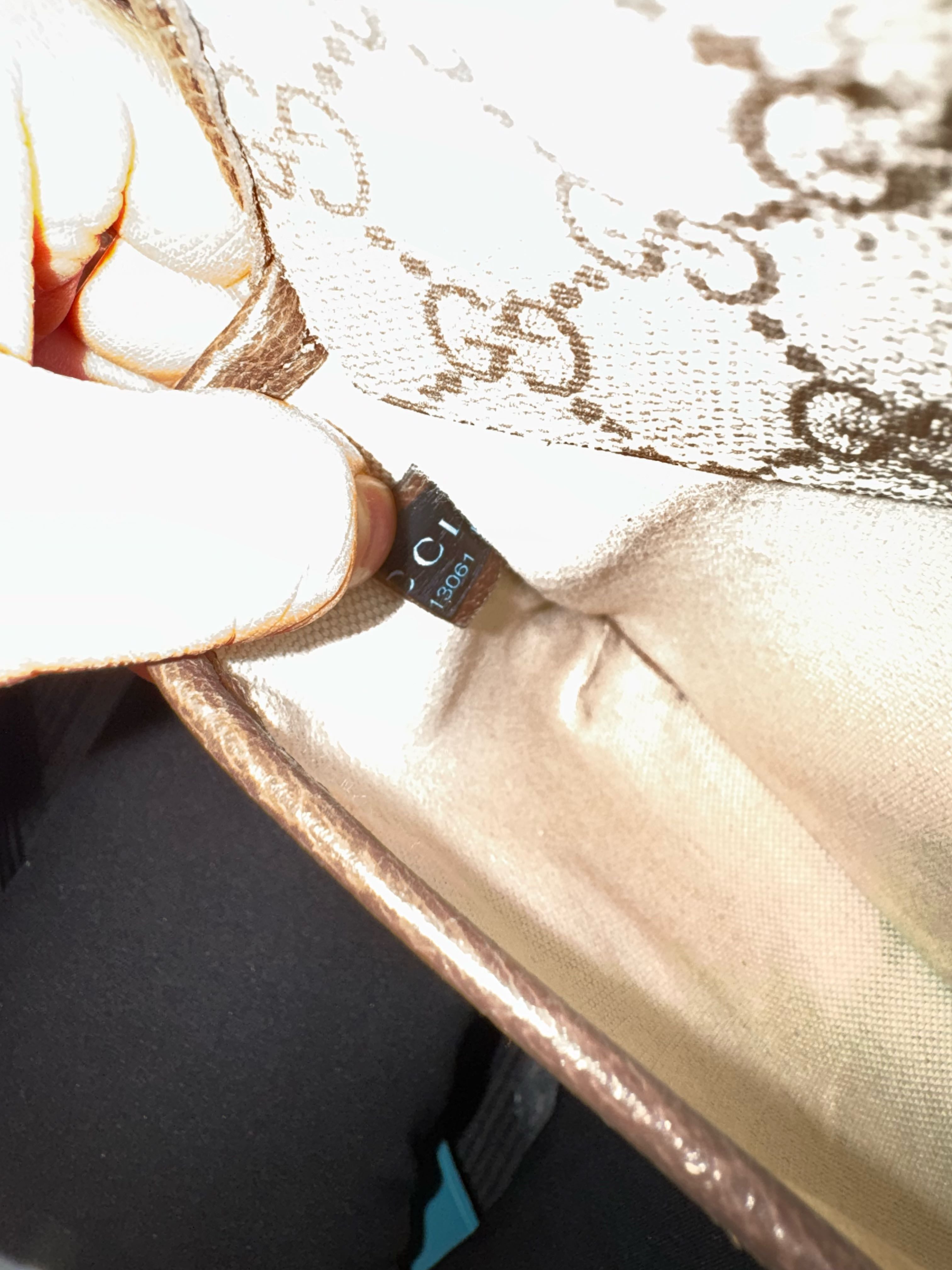 Gucci Belt Bag & Fanny Pack 24*17*4 4939309C2VT8745