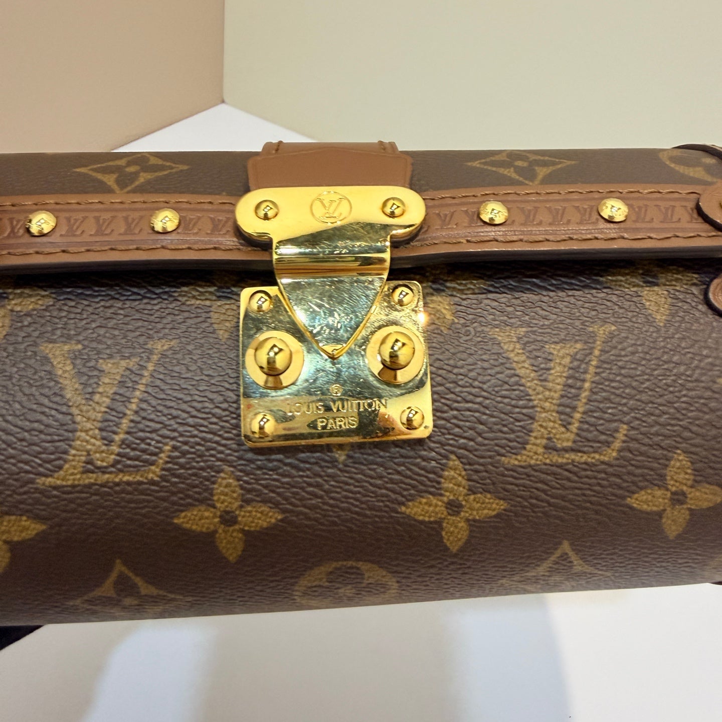 Louis Vuitton Papillon Trunk Canvas