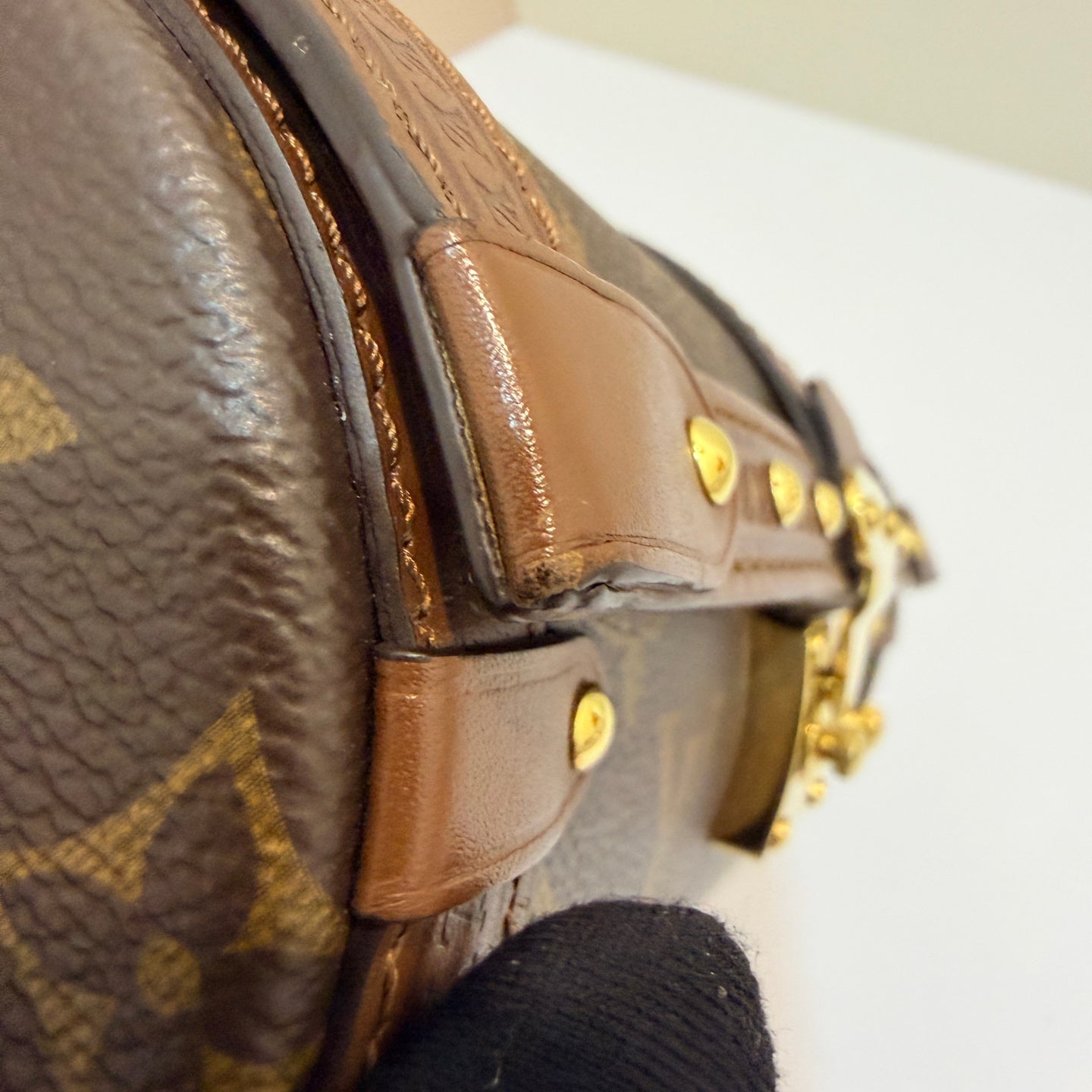 Louis Vuitton Papillon Trunk Canvas