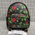 Coach CC331-IMUQ4
