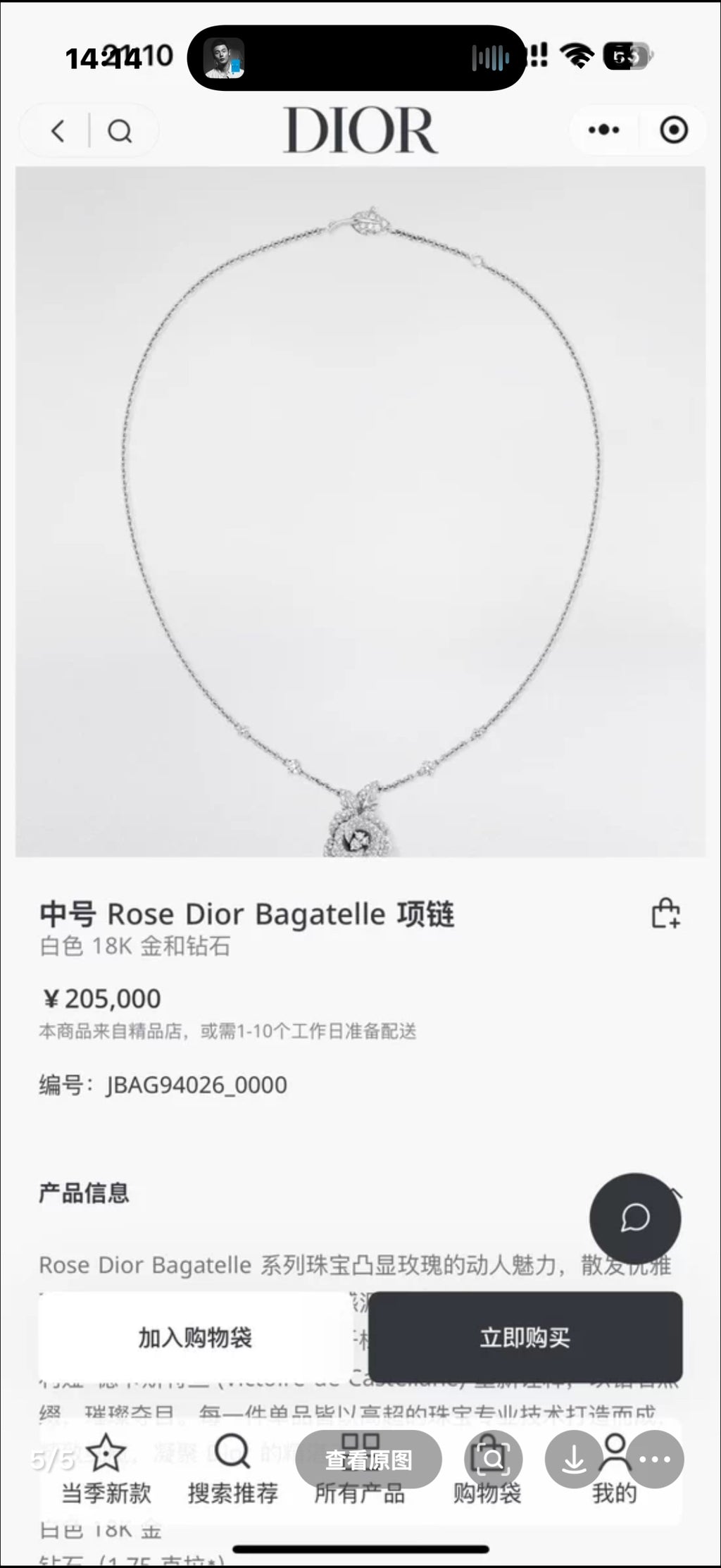 Dior Necklace