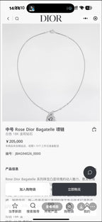 Dior Necklace
