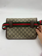 Gucci Belt Bag & Fanny Pack 24*17*4 4939309C2VT8745