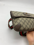 Gucci Belt Bag & Fanny Pack 24*17*4 4939309C2VT8745