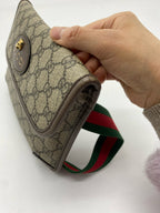 Gucci Belt Bag & Fanny Pack 24*17*4 4939309C2VT8745