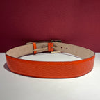 Gucci Orange Belt