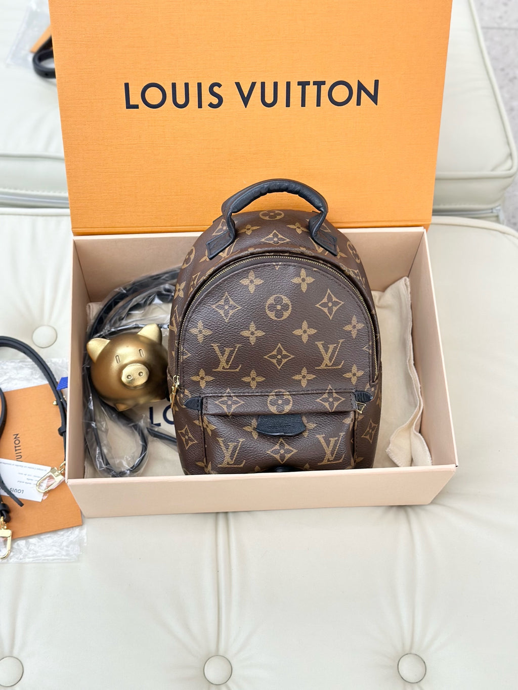 Louis Vuitton Palm Springs Brown Backpack M44873