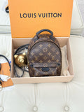 Louis Vuitton Palm Springs Brown Backpack M44873