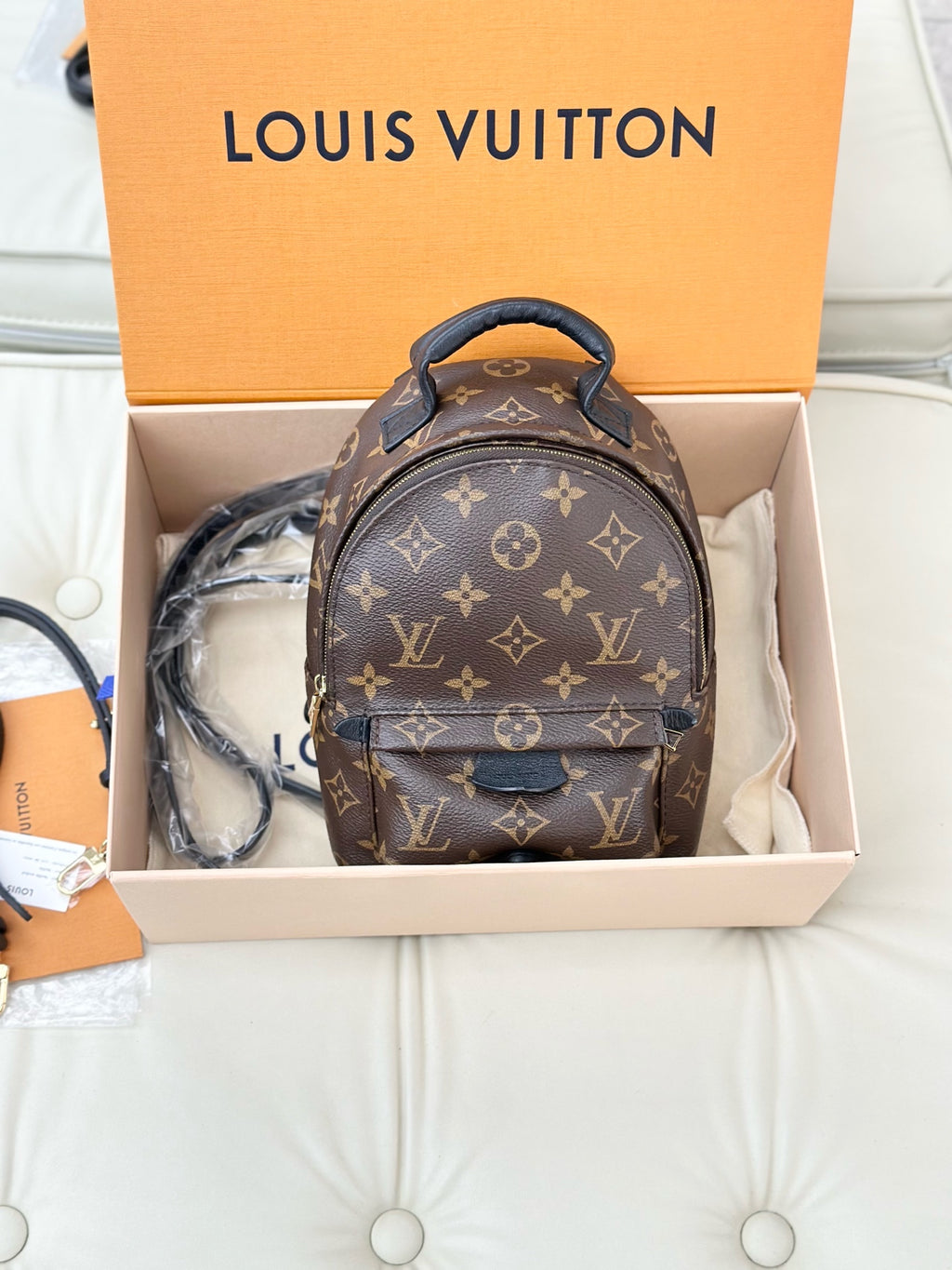 Louis Vuitton Palm Springs Brown Backpack M44873