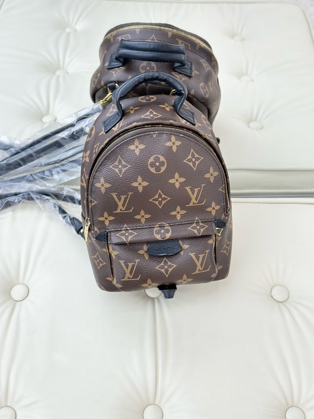 Louis Vuitton Palm Springs Brown Backpack M44873