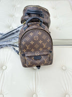 Louis Vuitton Palm Springs Brown Backpack M44873