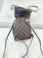 Louis Vuitton Palm Springs Brown Backpack M44873