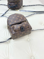 Louis Vuitton Palm Springs Brown Backpack M44873