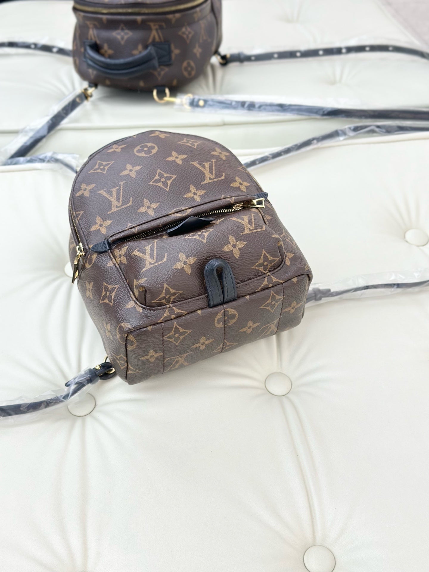 Louis Vuitton Palm Springs Brown Backpack M44873