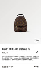 Louis Vuitton Palm Springs Brown Backpack M44873
