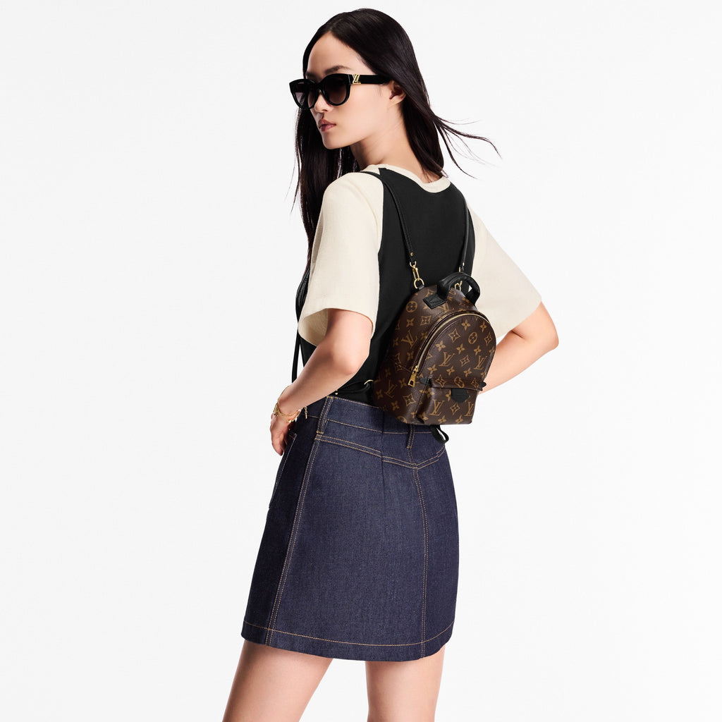 Louis Vuitton Palm Springs Brown Backpack M44873