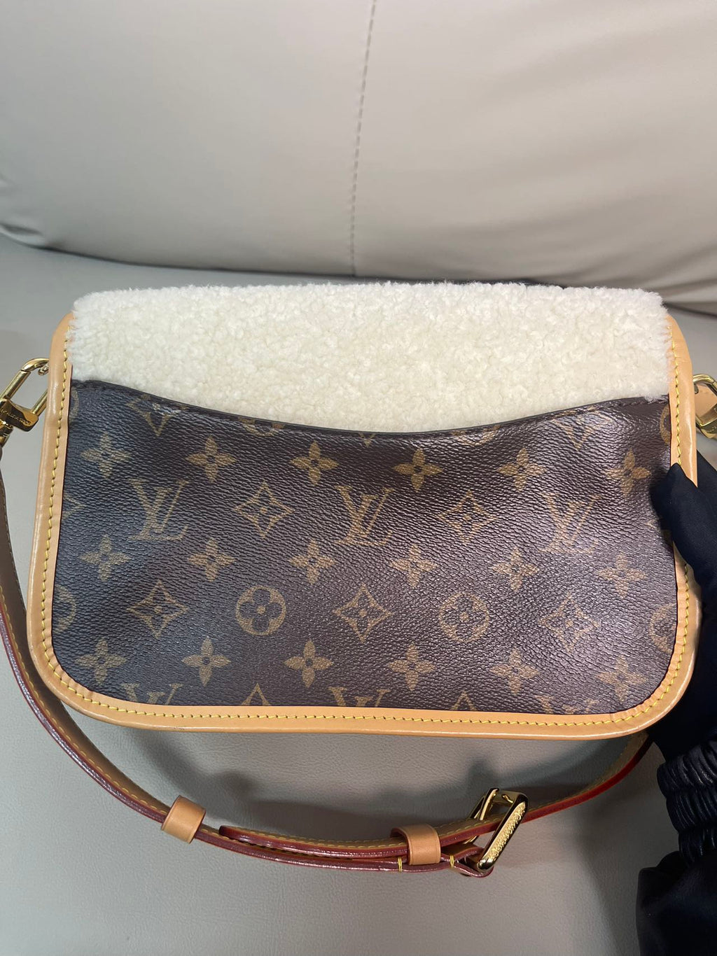 Louis Vuitton Diane Canvas M46317