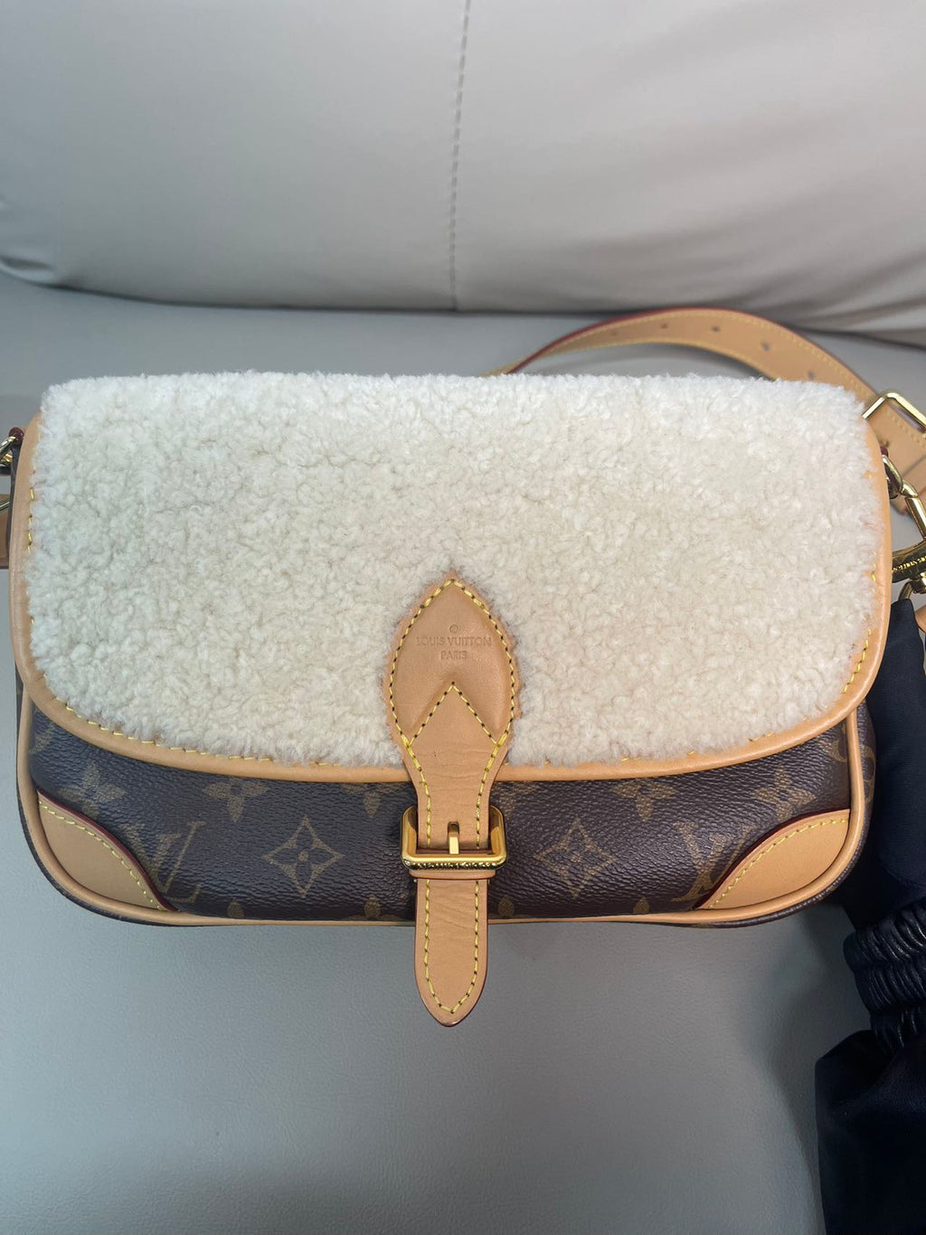 Louis Vuitton Diane Canvas M46317