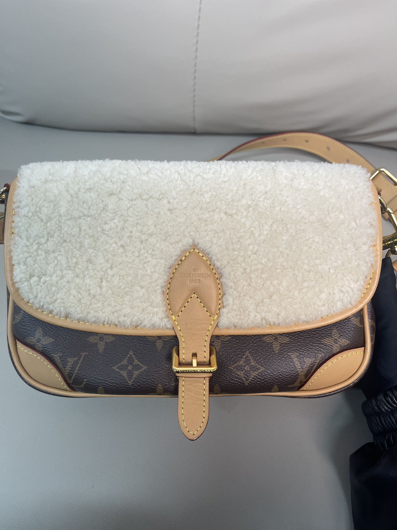 Louis Vuitton Diane Canvas M46317