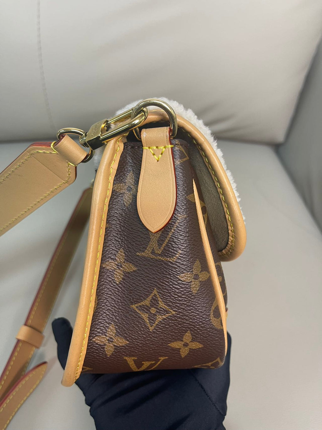 Louis Vuitton Diane Canvas M46317